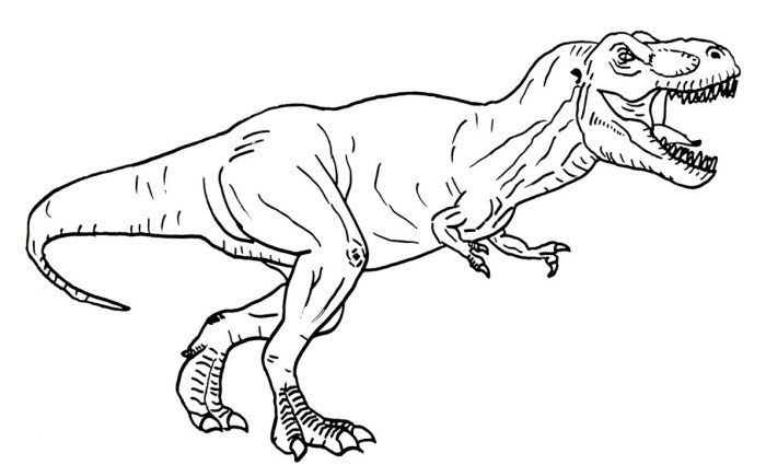 Coloring book t rex