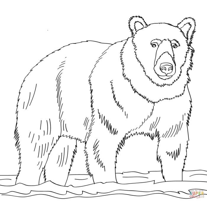 Animal coloring pages free bear snores