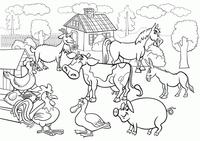 Farm animals coloring pictures