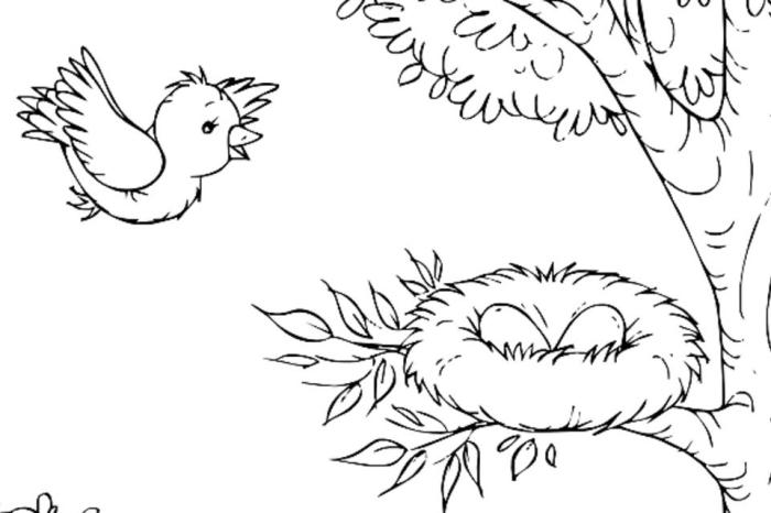 Bird coloring book printable