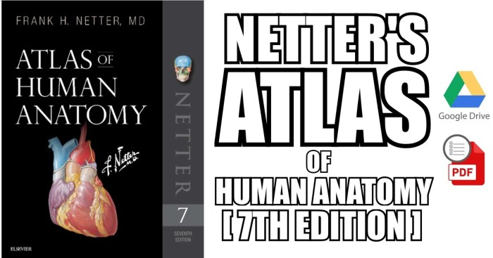 Netter's neuroscience coloring book 2nd edition