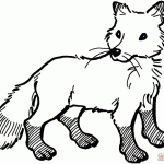 Anime fox with wings coloring pages