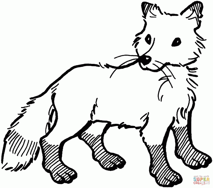 Anime fox with wings coloring pages