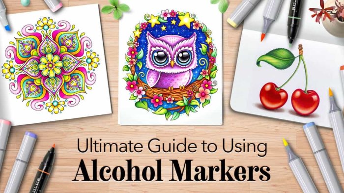 Coloring books for alcohol markers