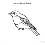 Animated bluebird coloring page