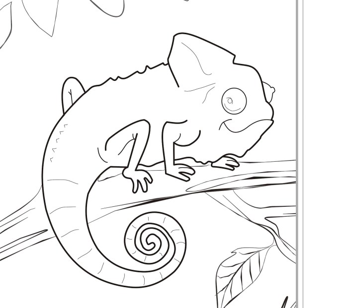 Animals of brazil coloring pages