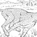 Coloring pages of real lookingbig animals