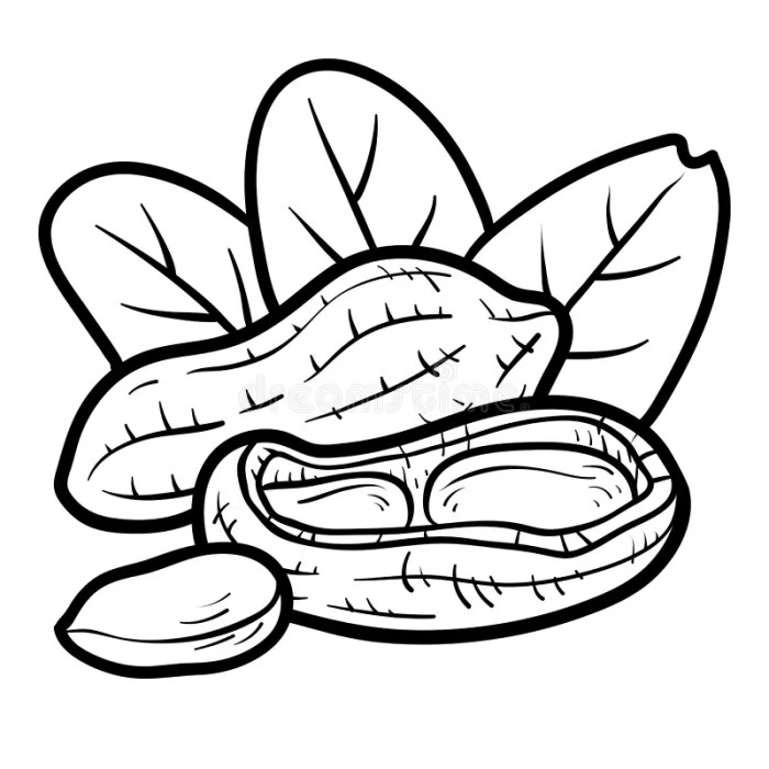 Animated peanut coloring page