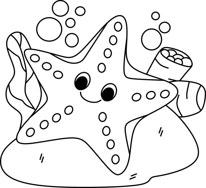 Starfish coloringbay