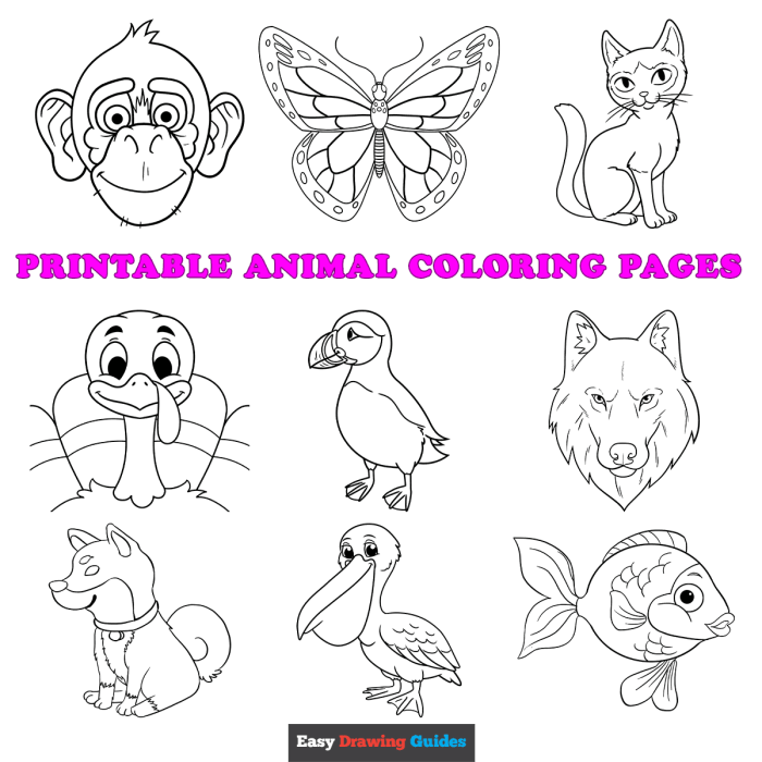 Art of coloring animals