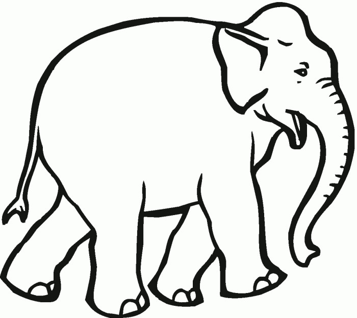 Free coloring pages animals elephants