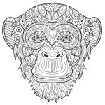 Animal coloring pages adut