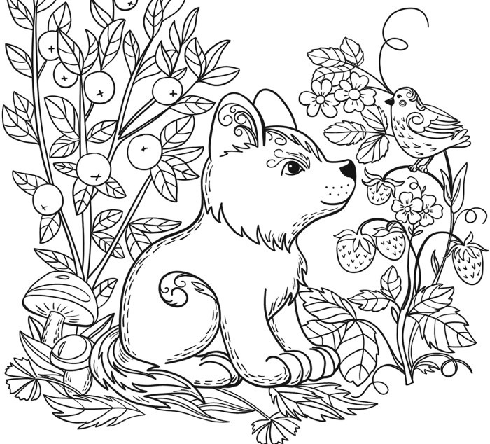 Animal outline coloring pages