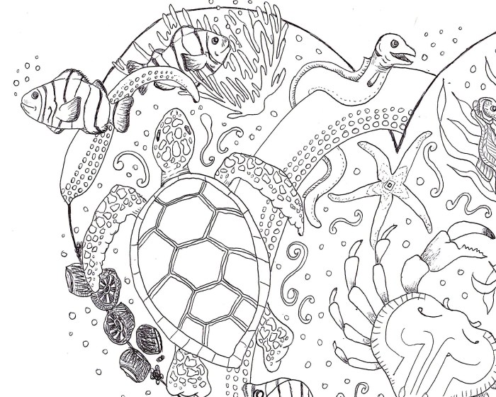 Ocean coloring book pages