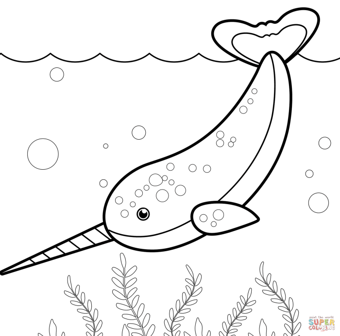 Animated narwhal coloring pages