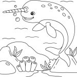 Coloring pages animals narwhal