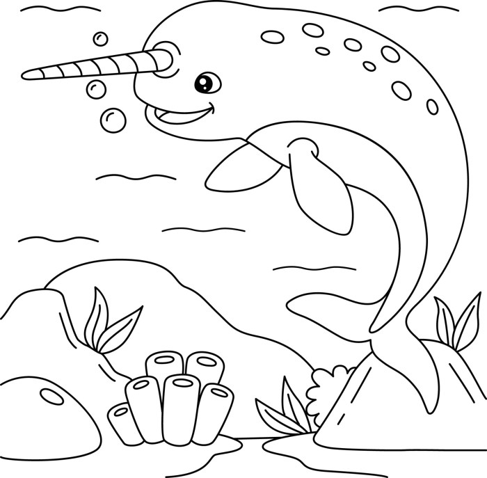 Coloring pages animals narwhal