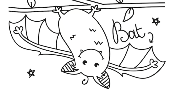 Nocturnal animal coloring pages