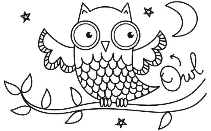 Nocturnal animal coloring pages