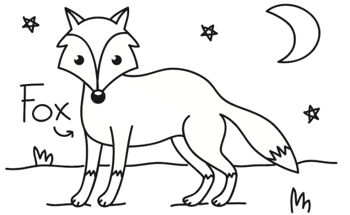 Nocturnal animal coloring pages