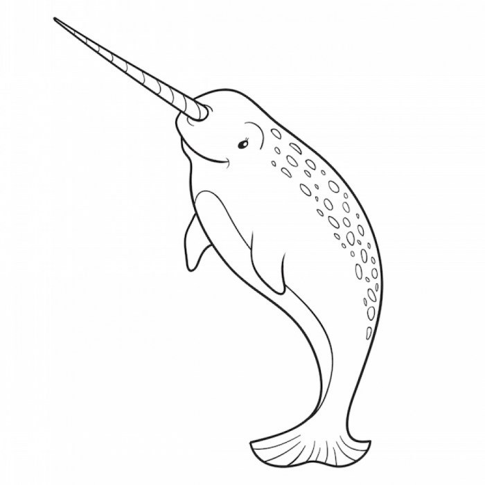 Animated narwhal coloring pages