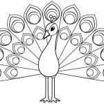 Peacock coloring book pages