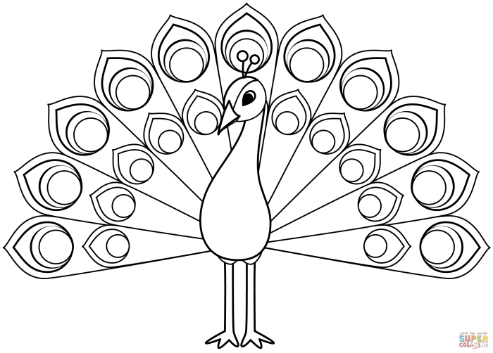 Peacock coloring book pages