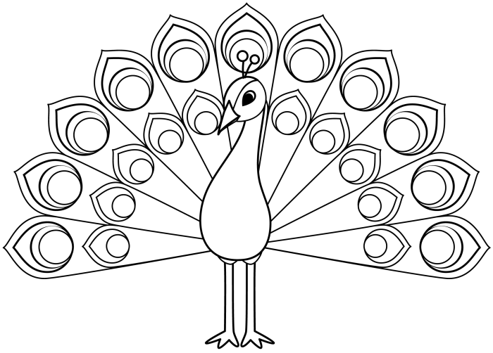 Peacock coloring book pages