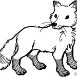 Fox animal coloring sheet free download