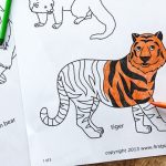 Asian animals coloring pages