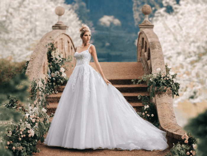 Princess cinderella wedding dress